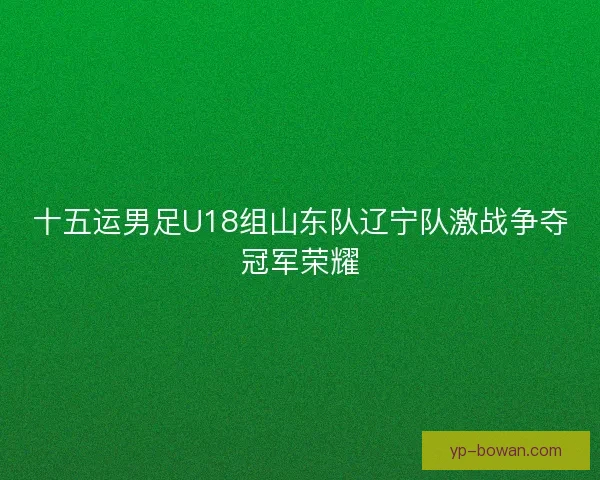 十五运男足U18组山东队辽宁队激战争夺冠军荣耀